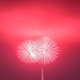 Image for article titled 19 Dazzling Photos of Fireworks